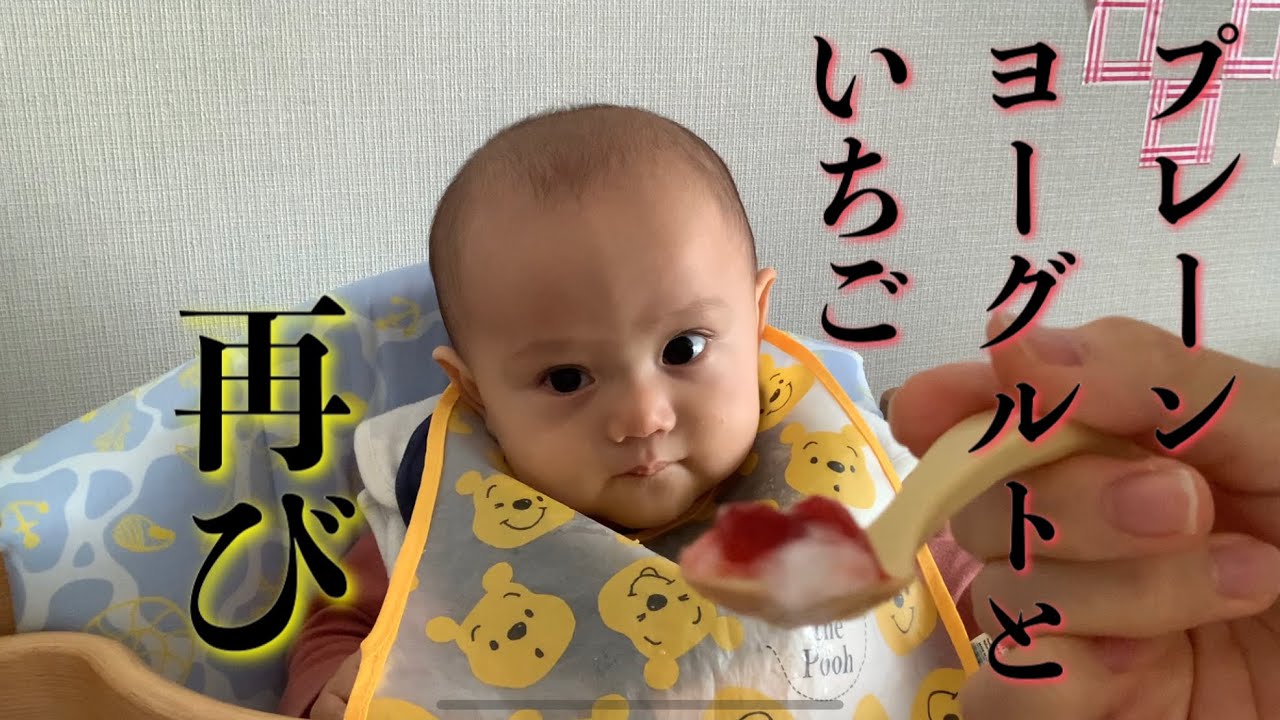 プレーンヨーグルトといちごの組み合わせに何か問題が 離乳食 63日目 生後8ヶ月 Youtube