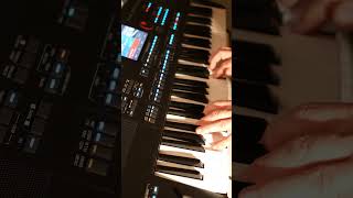 Swanee River - Gospel On The Thomann AK-X 1100 / Medeli AKX 10 Keyboard