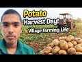 “Today was a hardworking day in our potato field 🥔🚜 Harvesting fresh potatoes with my own hands. 