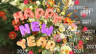 Best Wishes for Happy New Year 2021 | Whatsaap Status HD Digital Video | Facebook flower greatings Profile
