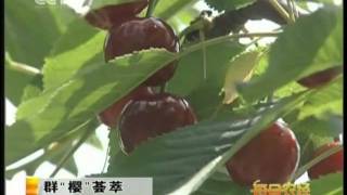 TOPCHEF Factory Interview by CCTV 7