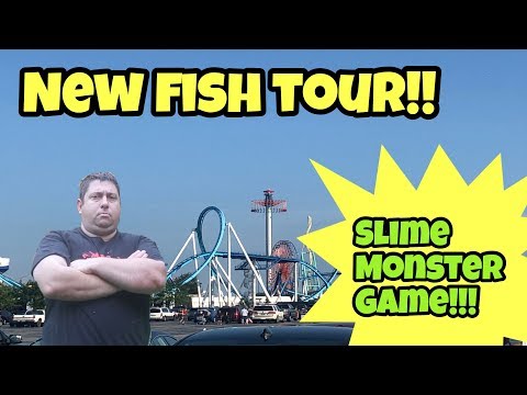 discus fish tank size Let's talk about the recent new fish