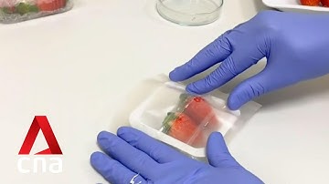 NTU, Harvard scientists create bacteria-killing food packaging that is biodegradable