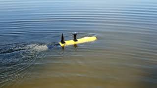 Trident AUV -- 1st Water Trial