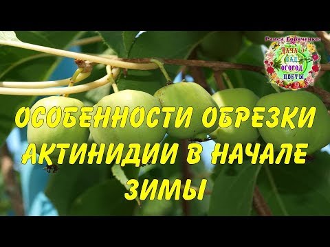 Video: 2018 -жылдын сентябрь айында чач кыркуу үчүн жакшы күндөрдүн календары