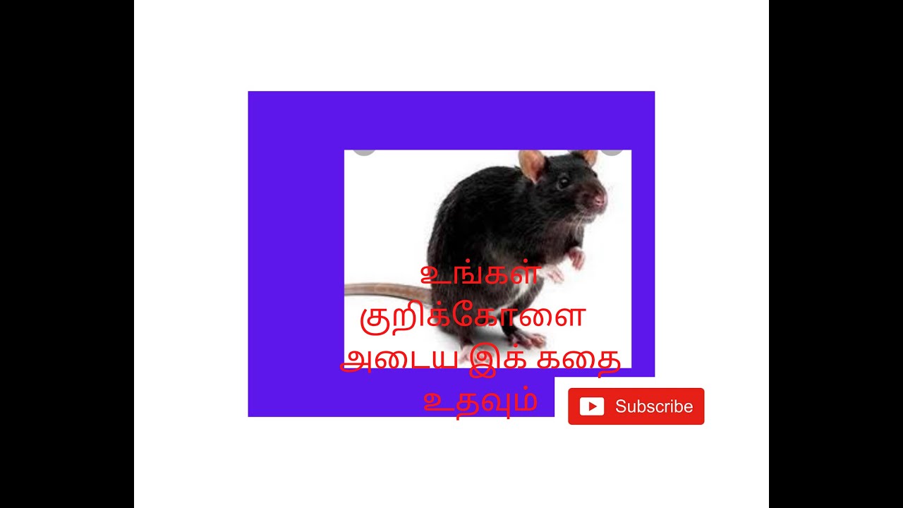 Bedtime Stories In Tamil Moral Stories Motivational Story In Tamil