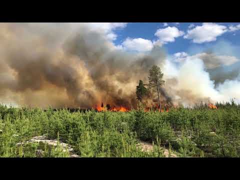 Video: En Mystisk Bild Som Orsakar Bränder - Alternativ Vy