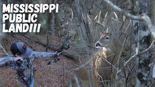 Giant PUBLIC LAND buck in Mississippi!| Incredible hunt!