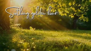 Soothing golden hour melody with bird sounds for relaxation, studying or sleeping.