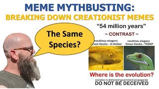 Dissecting Bad Memes: Gecko in Amber Shows No Evolution?