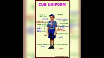 #scout and guide uniform #bulbul uniform #cum uniform #kvs uniform