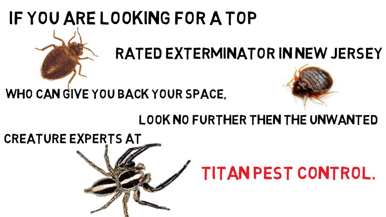 Titan Pest Control - The Top Rated Exterminator in New Jersey