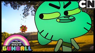 La Flor O Incrível Mundo De Gumball Cartoon Network