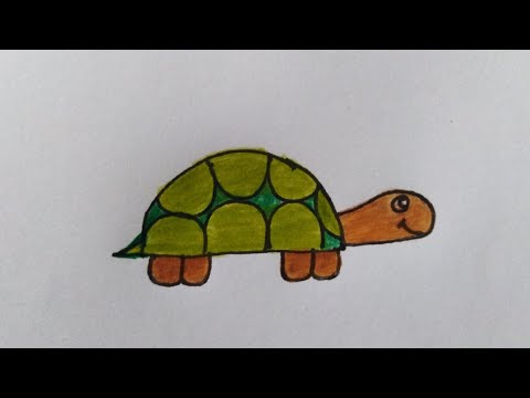 วีดีโอ: วิธีการวาดเต่า