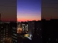 1 декабря 2024 г.
