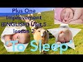 Plus One Improvement( ENGLISH )Unit 5 lesson 2