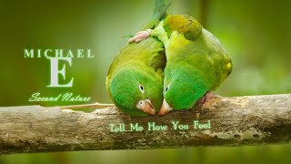 Video thumbnail of "Michael E. -  Tell Me How You Feel (Second Nature)"
