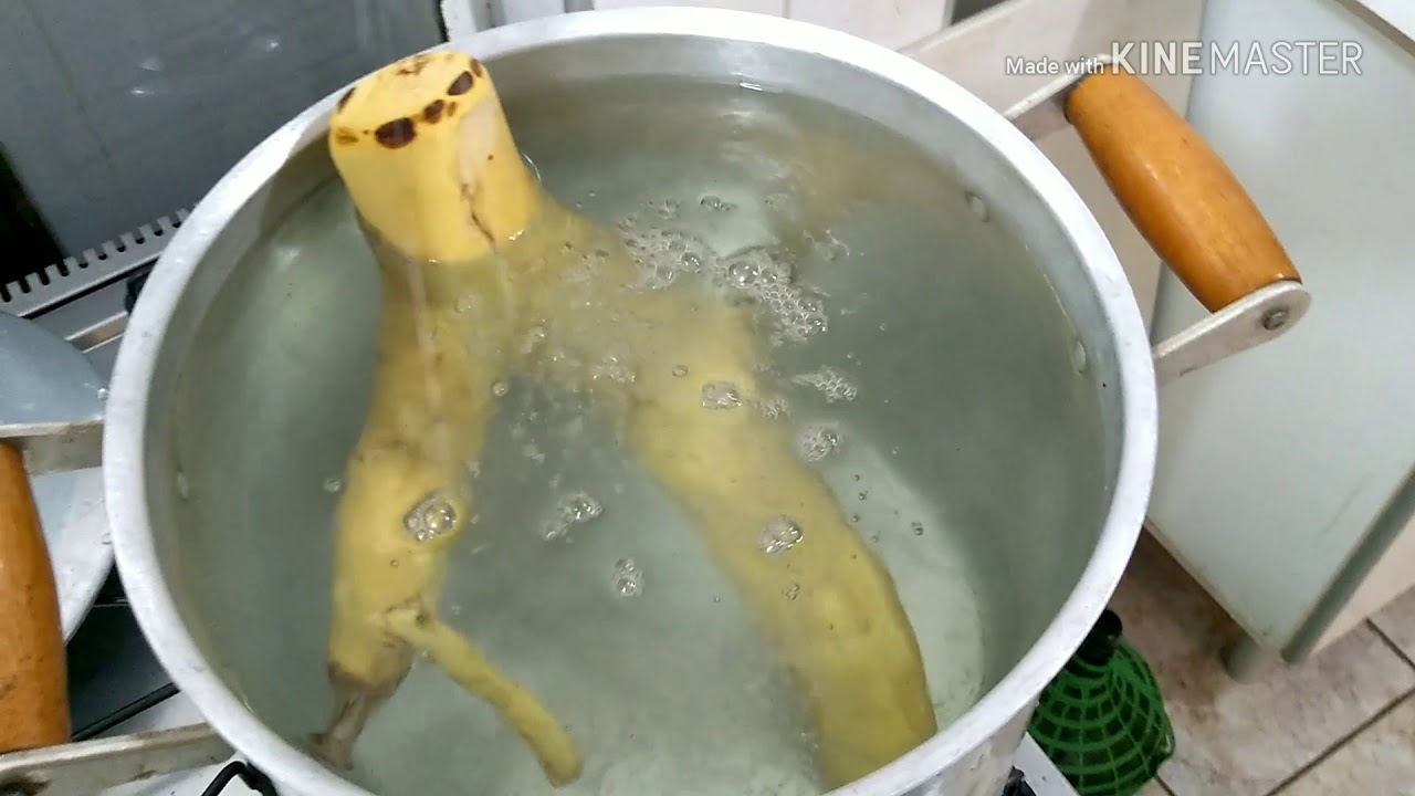 Como fazer  tronco para aquário