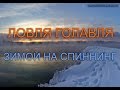 Ловля голавля зимой на спиннинг