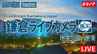 鎌倉 小町 若宮大路 段葛ライブカメラ「置石fm. 」 Japan Kamakura LiveCamera 