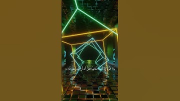 القارئ اشرف امام ❤️