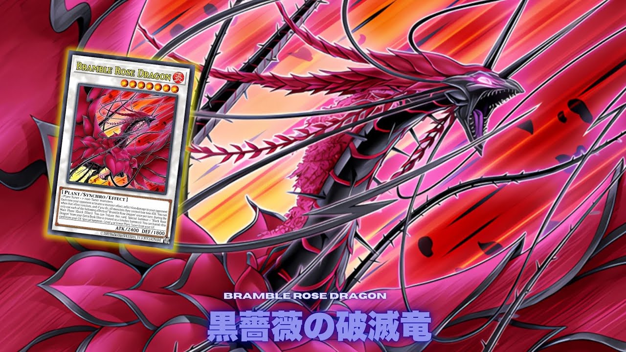 ローズドラゴンデッキ レッドローズドラゴン 黒薔薇の破滅竜 本格構築 ローズドラゴンデッキ レッドローズドラゴン 黒薔薇の