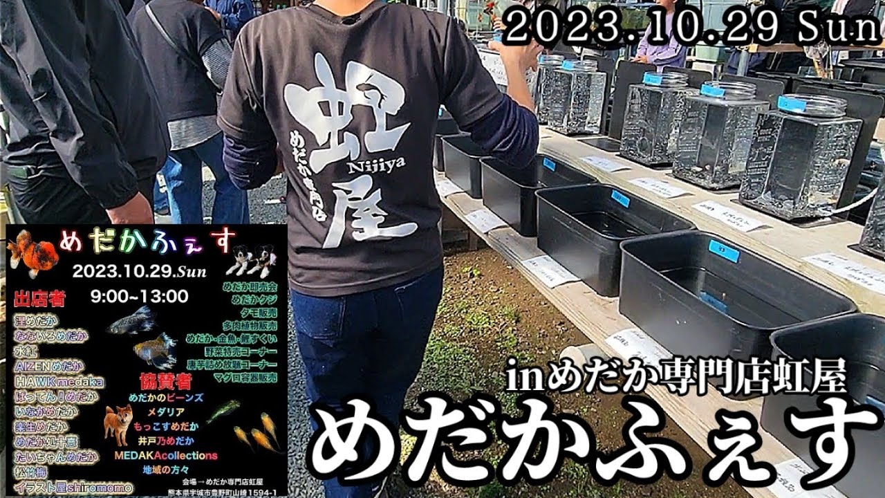 【メダカ】めだかふぇすin虹屋‼️‼️めだか専門店虹屋さんで開催されためだかイベント‼️‼️出店者はもちろん協賛も有名処ばかり‼️‼️