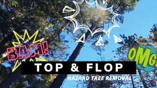 Top & Flop A Monster White Pine | Hazard Tree Removal (Just A Little Sketch!) Red Beard Grand Marais