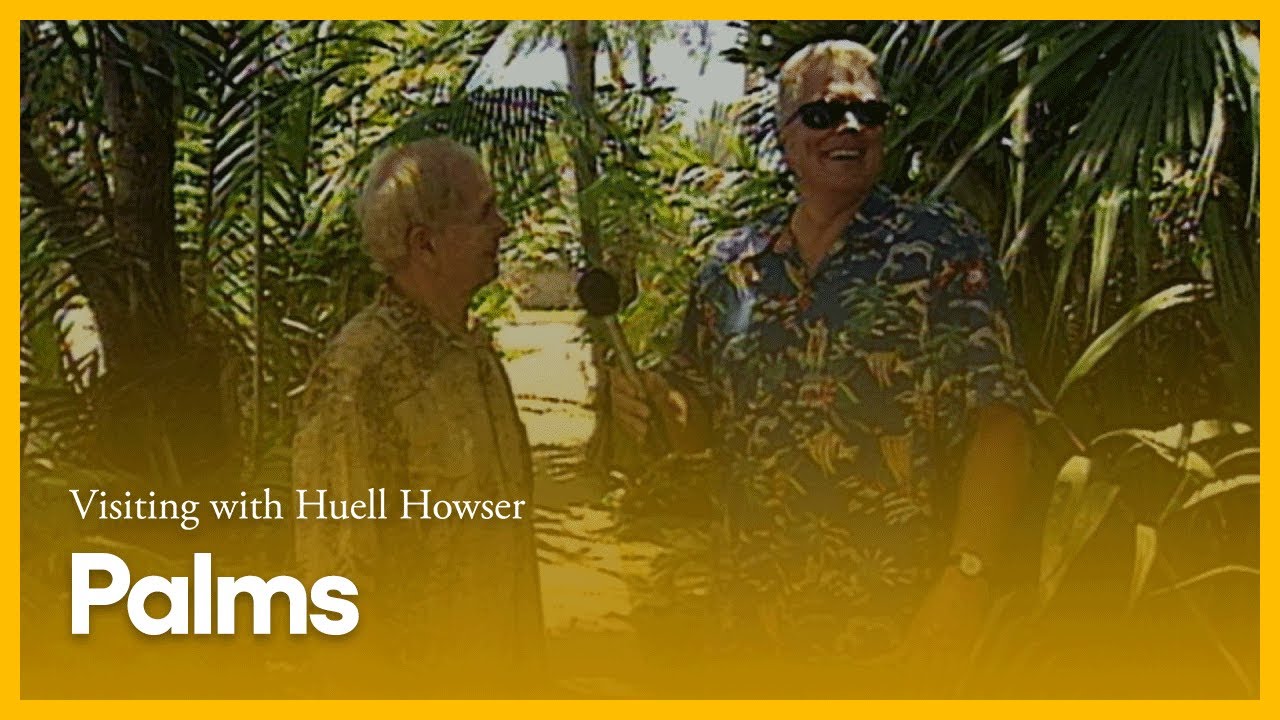 Palms | Visiting with Huell Howser | PBS SoCal - YouTube