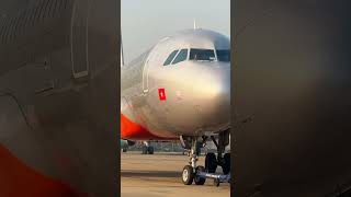 Thỏ Hoàng Làm Sao Để Phi Công Điều Khiển Máy Bay Lăn Đúng Vạch?