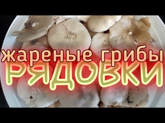 рядовки как их готовить.Очень Вкусный Рецепт.Кулинарный кайф