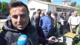 Uysal Arılar Elden Ele Dolaştı