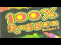 Coletânea 100% Reggae Vol.08 CD completo