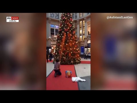 Climate activists vow to destroy more Christmas trees in latest demonstration