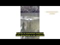 Recensione del Sengfwin Barca telecomandata Avviatore Pesca Carpa Esca senza Fili Pesca Barca di Amm