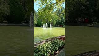 Zikir - Fikir - Şükür