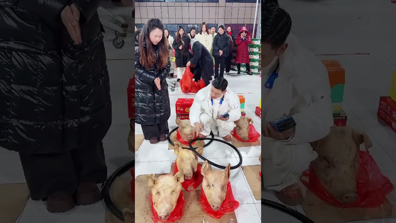 Human life passes like a dream 2