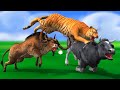भूखा बाघ चतुर गाय और भैंस Hungry Tiger Clever Cow and Buffalo Kahani - Hindi Kahaniya - हिंदी कहनिया