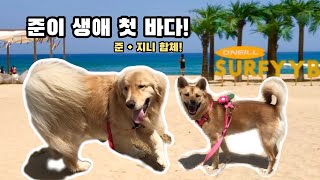 준이 생애 첫 바다! 1박 2일 여행가다