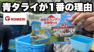 メダカ飼育はやっぱり青タライしか勝たん！！選ぶ理由と使い心地レビュー