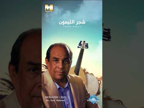 وفينك أنا من غيرك أنا مش عاقل ولا مجنون