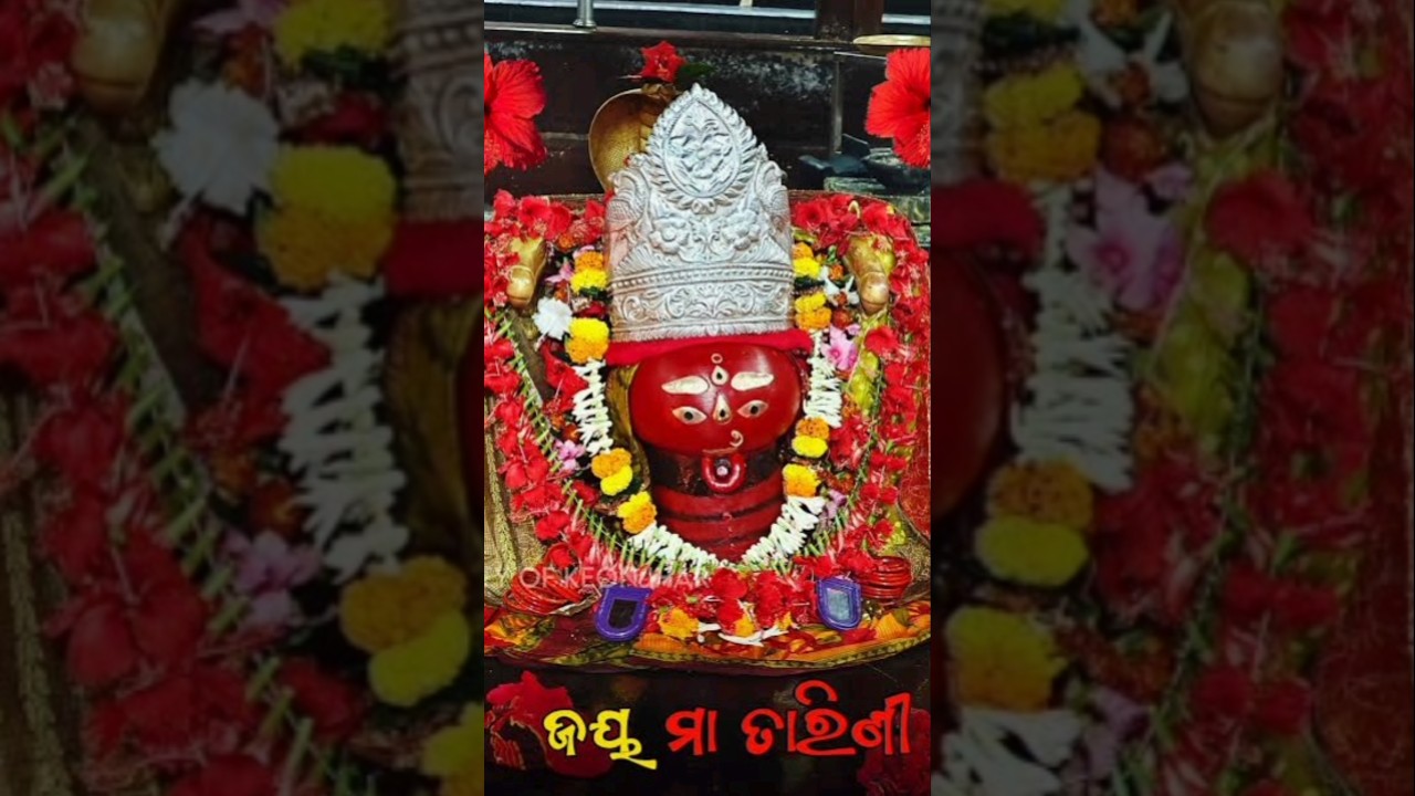 Maa tarini bhajan 4k status video 🌺🙏🌺