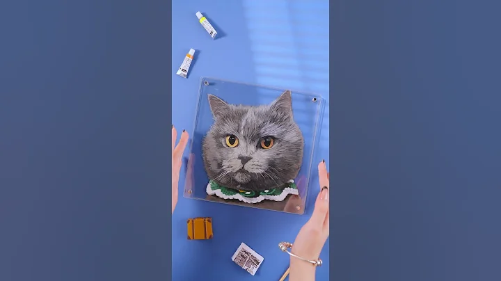 Video 6680631: kitten pets catlover cutecat, cats pet catlover cutecat, cats pets cutecat drawing, cat cutecat pets animals, catlover pets funny cutecat, cute beautiful cats pets