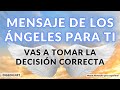 VAS A TOMAR LA DECISIÓN CORRECTA💌 MENSAJE de los ÁNGELES PARA TI - DIGEON 💗ARCÁNGEL HANIEL