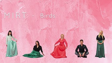Mirt - Birds