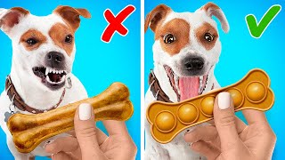 Genius Hacks And Gadgets For PET Owners