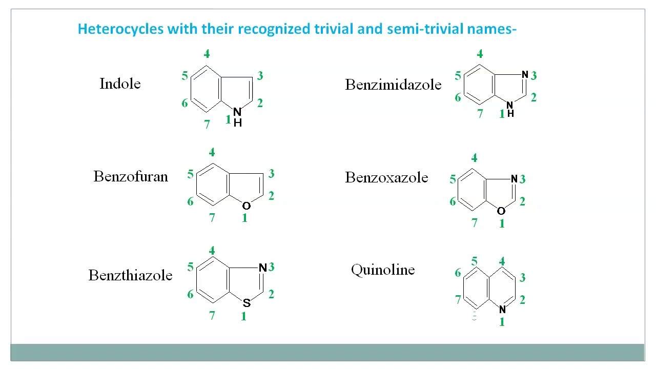 Answered: Both pyridine and pyrrole are nitrogen-… | bartleby