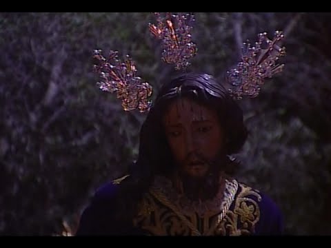 Pontificia y Real Hermandad de Nuestro Padre Jesús del Prendimiento, María Santísima del Desamparo y San Pedro Apóstol