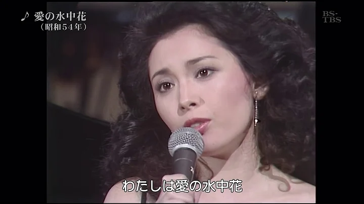 (松坂慶子)  愛の水中花 - 天天要聞