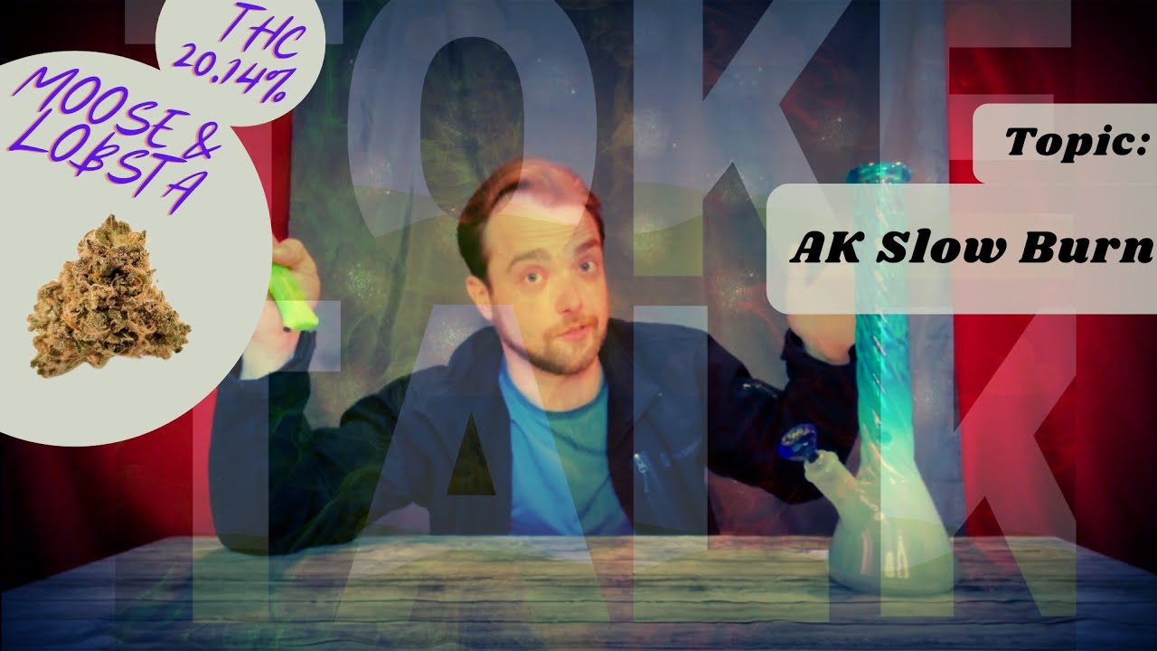 Moose & Lobsta strain review while reviewing AK Slow Burn